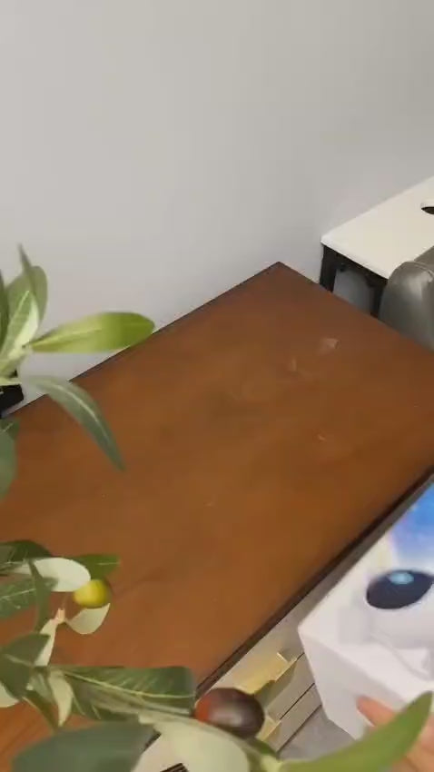 Astronaut Projector